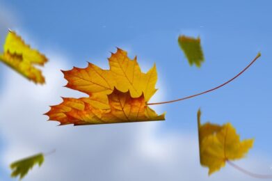 God’s Space for Our Transformation