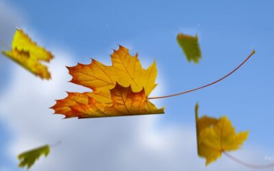 God’s Space for Our Transformation
